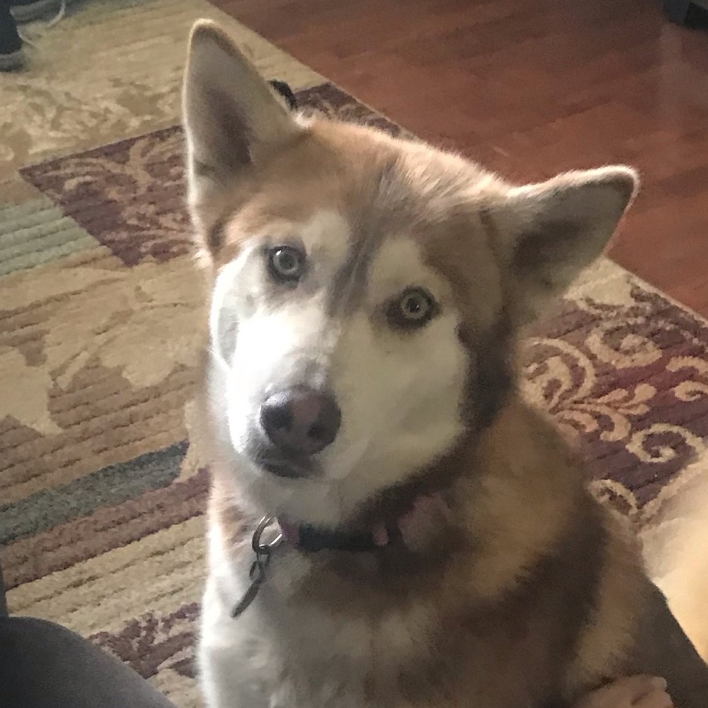 Meet your Posher, Kylie